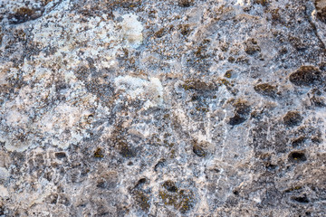 Close-up of stone covered by lichen
