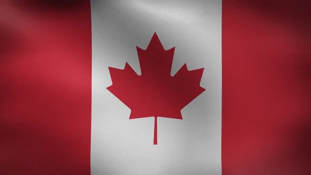 Close-up flag of Canada ripples in a breeze. Canada Flag waving in slow motion with highly detailed fabric texture loop,Creased textured Canada flag in slow motion with visible wrinkles and seams