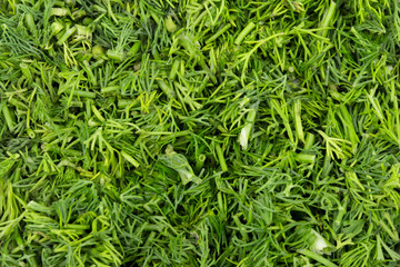 green background dill