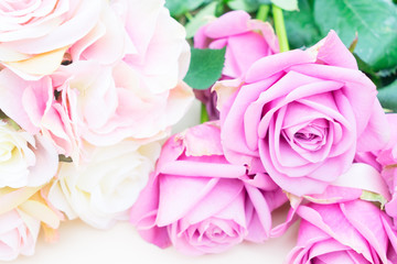 Obraz na płótnie Canvas Valentines day violet and pink roses close up