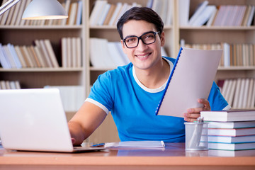 Young student preparing for school exams