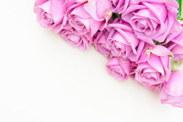 Valentines day violet fresh roses border close up top view flat ly scene