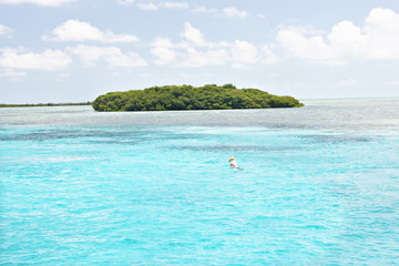 Colorful island with trees on sea
