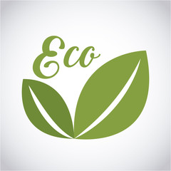 eco emblem with leaves icon over white background. colorful design. vector illustration