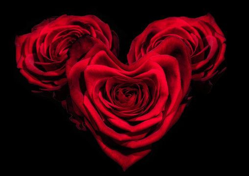Rosen als Herz geformt