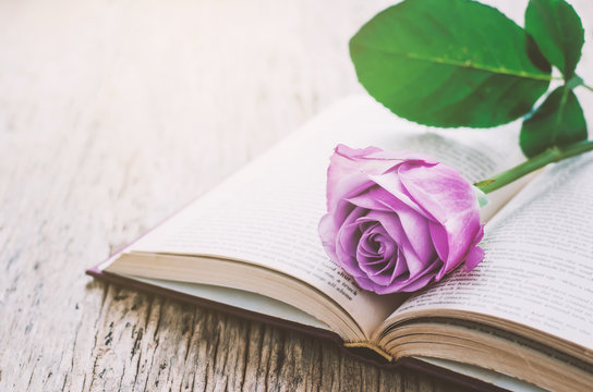 Violet purple rose flower and opened book on wooden background