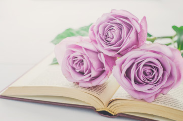 Close up of violet purple rose flowers and opened book with vint