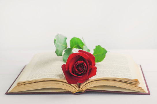 Close up of red rose flower at opened old book with vintage tone