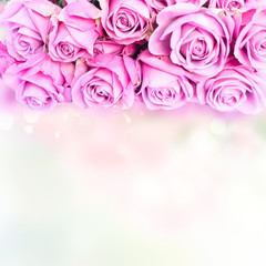 Violet blooming fresh roses border with copy space on bokeh background