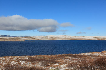 Late autumn with fresh snow on the ground on Hardangervidda, Norway
