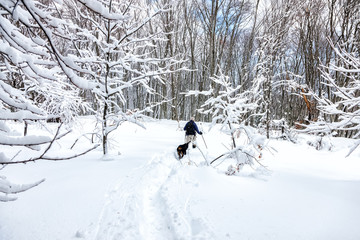  unknown man party with his dog walking in a snowy landscape in