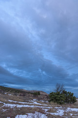 Amazing grey dramatic sky with juniper in front. Russia, Stary Krym.