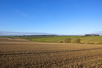yorkshire wolds agriculture