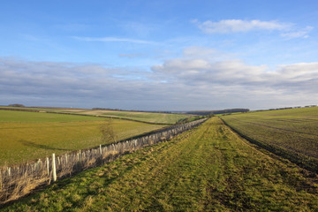country walking landscape