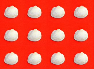 Pattern with see shell in pop art style
