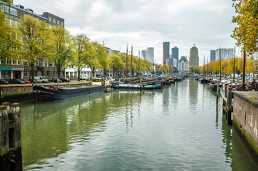 Fototapeta premium Canal in Rotterdam, Netherlands
