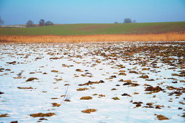 Field covered with snow on sunny winter day