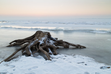 Fototapeta na wymiar Stump on the shore of a frozen lake.