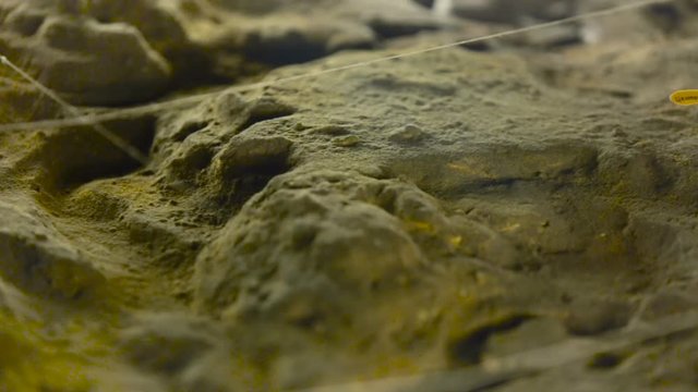Detailed Examination of the Planet's Surface From Right to Left. Ocean Floor Layout. Brown Sea Surface Topography