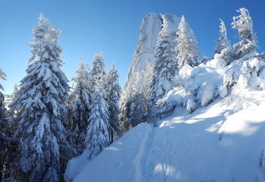 Winer Scene In Ceahlau Mountain Landscape