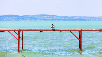The Hungarian Balaton lake shore.