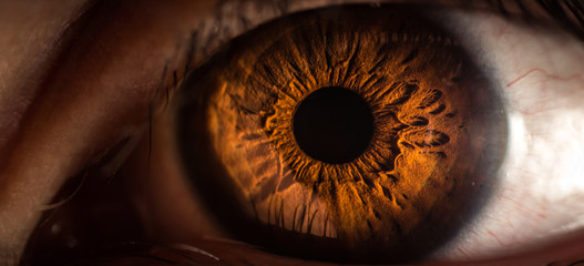 Macro Aufnahme eines Auges mit strukturierter Iris. - obrazy, fototapety, plakaty