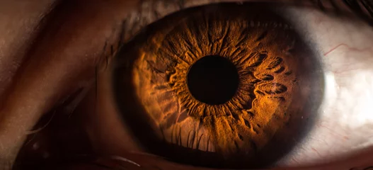 Fototapeten Macro Aufnahme eines Auges mit strukturierter Iris. © Sina_Golpira