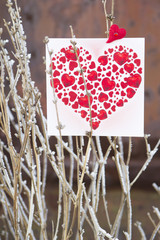 Red heart in nature decoration