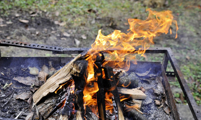 the fire burns with a bright flame on the picnic