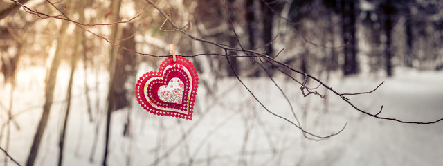 Love heart on the branch © Alfira