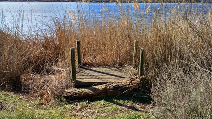 Laguna Rivas Vaciamadrid