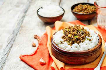 Spicy Indian minced meat with rice
