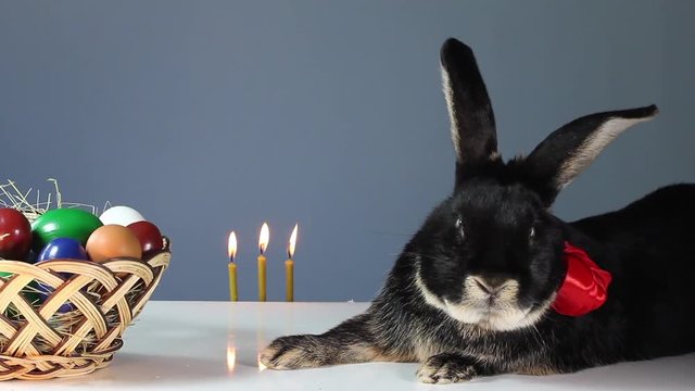 Black rabbit with a colored ribbon around his neck is near the wicker basket with Easter eggs. Burn three candles