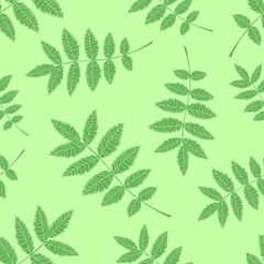 Seamless background from the leaves of mountain ash. Pattern.