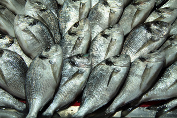Piles of freshly caught fish at local's market