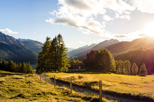 Wanderweg oberhalb Zuoz im Oberengadin, Graub&uuml;nden, Schweiz