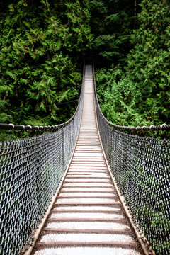 Fototapeta A rope bridge with chainlink handrails in forest