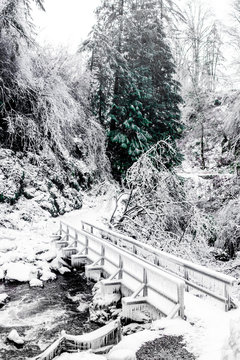 High angle view of bridge crossing river in snow covered forest