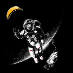 Obraz premium Space Monkey