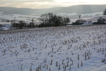 Fototapeta na wymiar Stoppelfeld im Schnee, mit Sonnenaufgang hinter den Hügeln