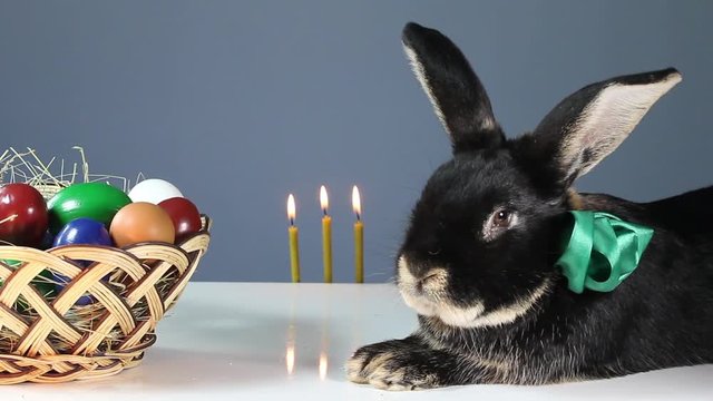 Black rabbit with a colored ribbon around his neck is near the wicker basket with Easter eggs. Burn three candles