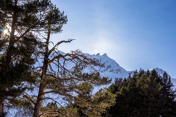 красивый вид на снежные горы, заповедный лес, зимний пейзаж, природа Северного Кавказа