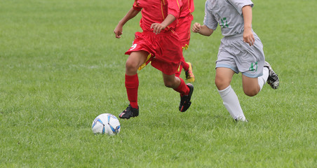 Fototapeta premium サッカー フットボール