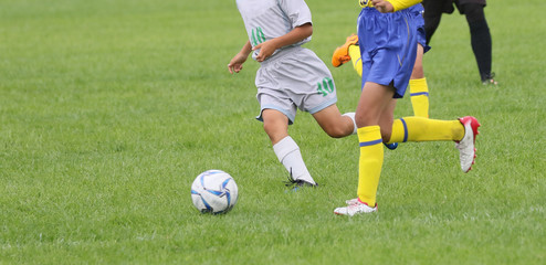 Fototapeta premium サッカー フットボール