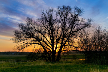 Fototapeta na wymiar Spring dawn on the river Don, sun rays pass through the crown of the tree