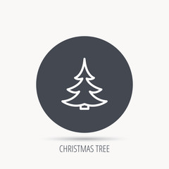 Christmas fir tree icon. Spruce sign. Winter forest symbol. Round web button with flat icon. Vector