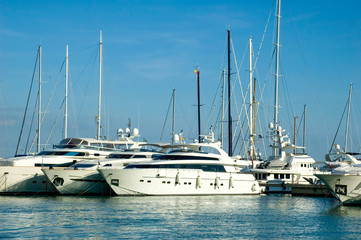 Yachts Moored in the Marina