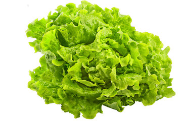 Fresh green iceberg salad isolated on white background