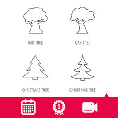 Achievement and video cam signs. Tree, oak-tree and christmas tree icons. Forest trees linear signs. Calendar icon. Vector