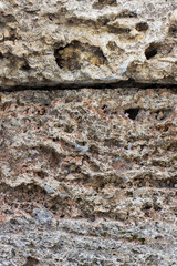 texture Rakushnjak or coquina